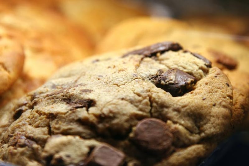 galleries/2010/06/06/40-desserts-that-can-kill-you/worst-desserts---steak-n-shake-chocolate-chip-cookie-sundae_ltjssf