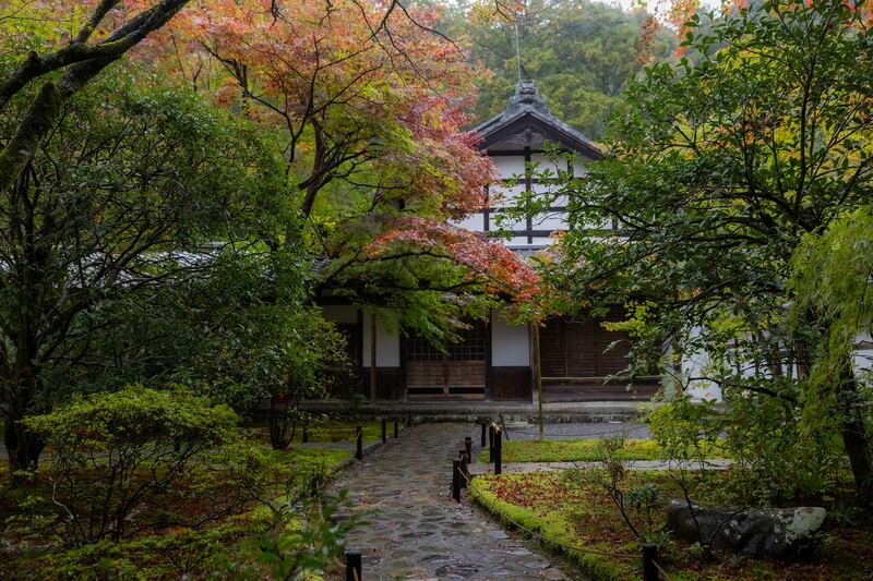 A photo of Kokedera Kyoto garden in Japan.