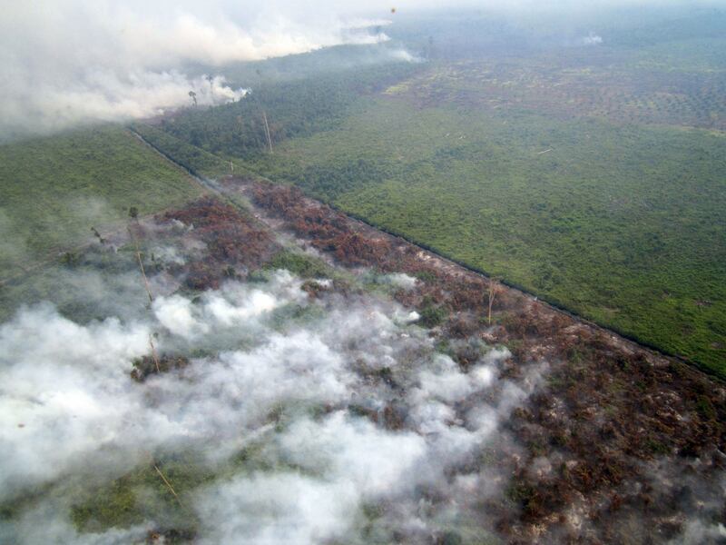 galleries/2013/06/20/terrifying-pollution-blankets-singapore-it-s-indonesia-s-fault/300620-Singapore-smog-17_m2jzyh