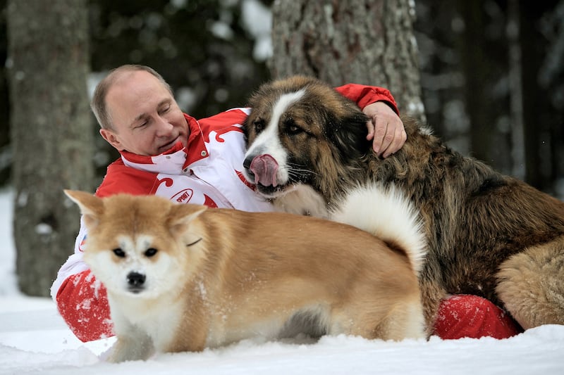 galleries/2013/09/05/17-photos-of-putin-schmoozing-with-animals-photos/130904-putin-dogs-snow_kfjujk