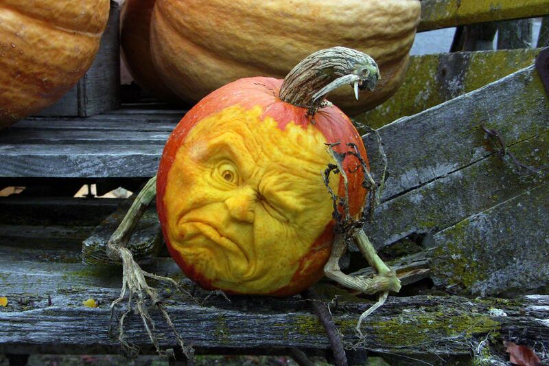 galleries/2011/10/28/amazing-pumpkin-carvings-photos/pumpkin-carvings-22_zkozji