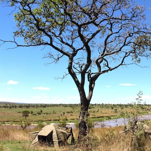 articles/2013/07/09/walking-with-wildebeests-exploring-the-serengeti-on-foot/130707-Eade-Serengeti-tease_lmohci