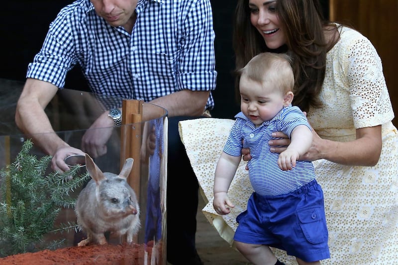 articles/2014/04/20/prince-george-and-the-easter-bunny/george-easter1_qlf1zo