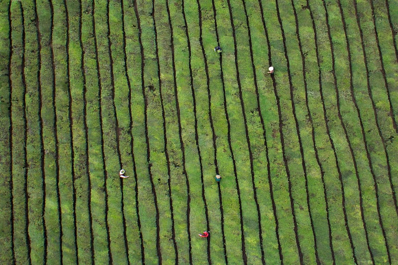 galleries/2016/04/16/these-pictures-of-china-from-above-are-stunning/160415-china-from-above-06_ukndhv