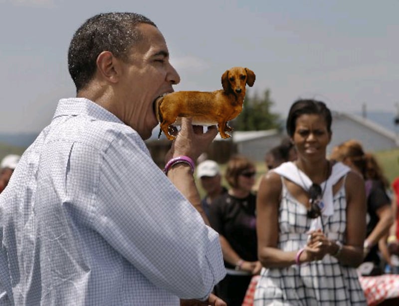 galleries/2012/04/21/meme-of-the-week-obama-eats-dog-photos/obamadog-8_awks6h