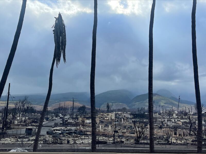 A view of the charred remains in Lahaina.