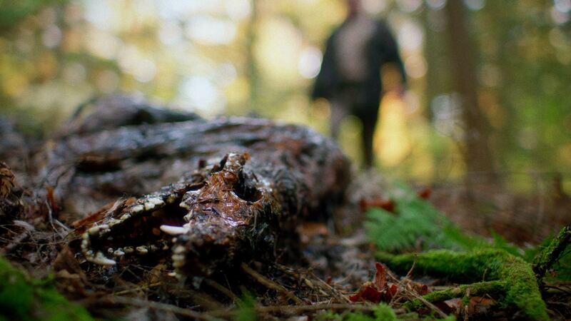 A photo including a still from the film In a Violent Nature