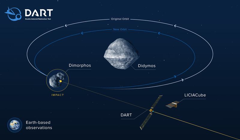 DART-infographic_v4_lpapsm