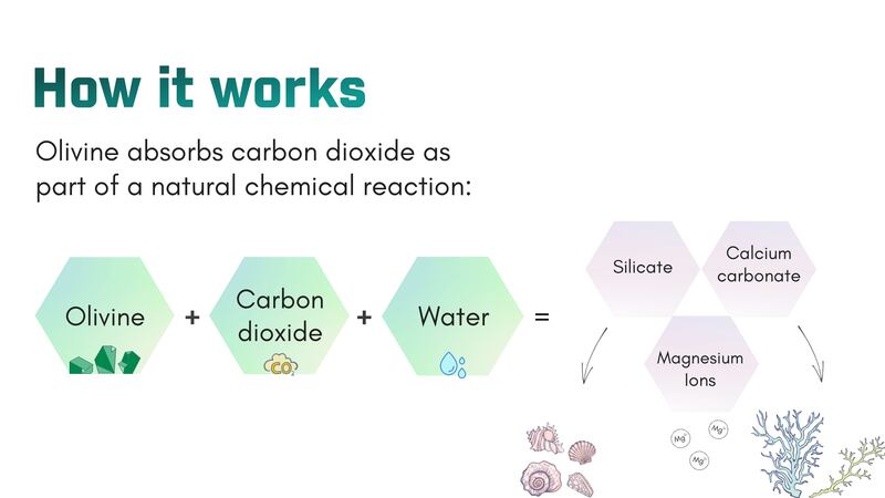 ABV_Infographic_-_Landscape_oavzeh