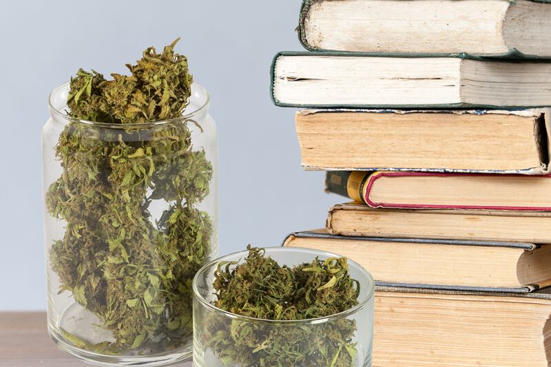 articles/2014/04/27/weed-reads-the-10-best-books-on-pot/140425-roffman-weed-reads-tease_nfostt