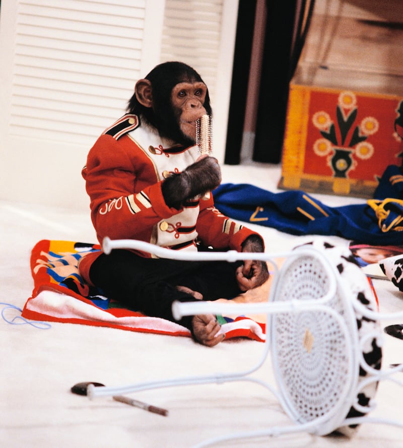 galleries/2012/12/11/best-and-worst-dressed-monkeys-ikea-monkey-bubbles-more-photos/monkey-fashion-bubbles_kzqmis