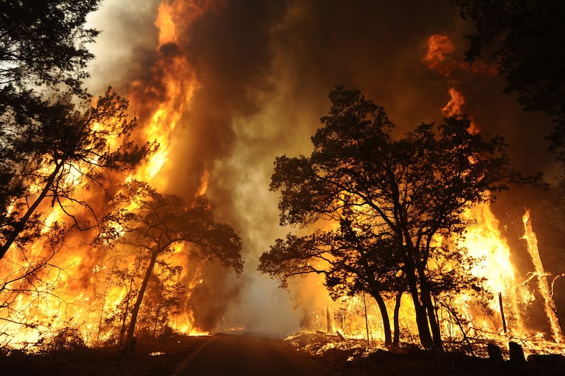 galleries/2011/09/06/texas-bastrop-fires-spread-near-austin/texas-wildfire-worst-in-history-box_bbbfsh