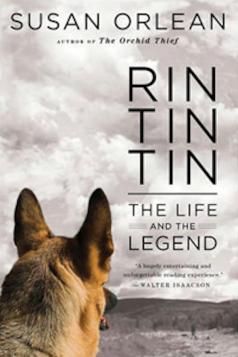 articles/2012/10/17/susan-orlean-how-i-write/rin-tin-tin-orlean-bookcover_z4kndi