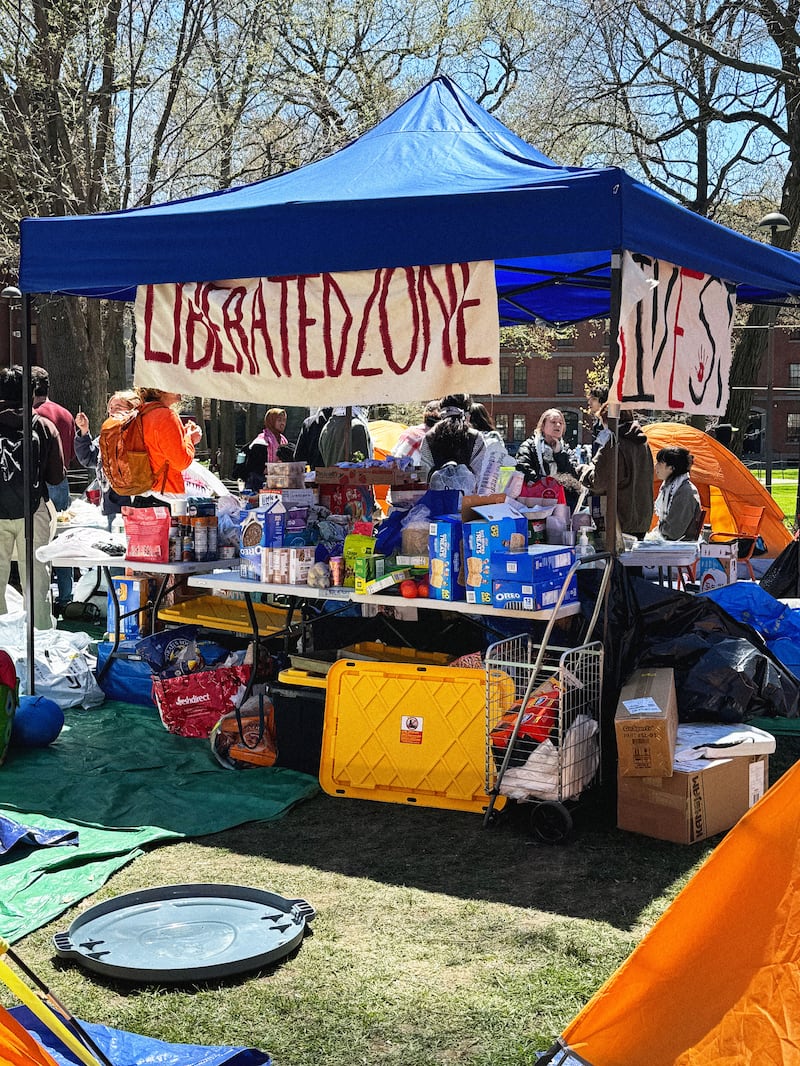 Harvard Gaza protest