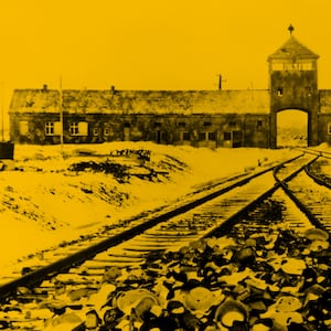 190303-schwartz-auschwitz-hero_p67xpg