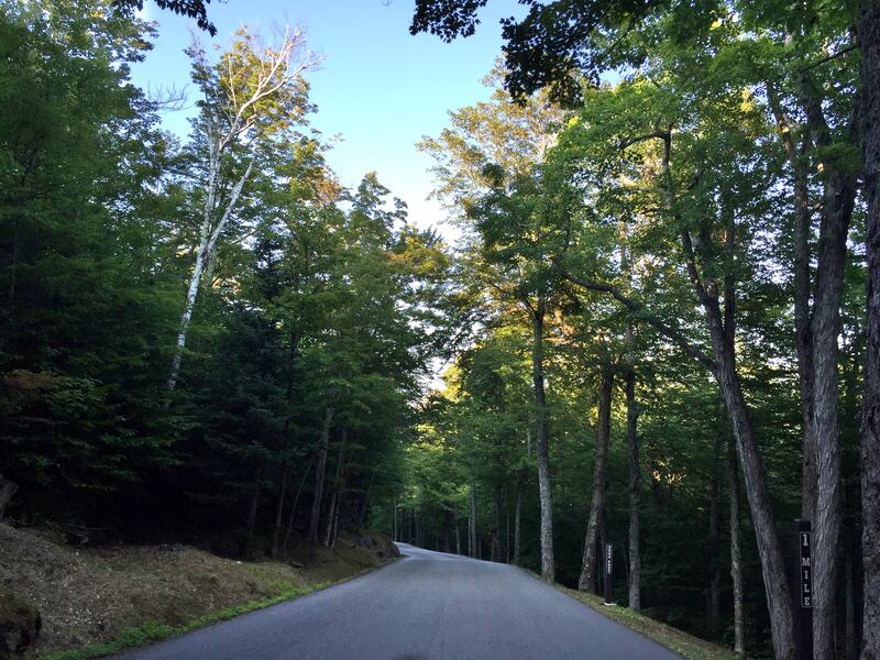 2016-09-03_17_17_55_View_eastbound_down_the_Mount_Washington_Auto_Road_at_about_mile_1.0__about_2020_feet_above_sea_level__in_Pinkham_s_Grant_Township__Coos_County__New_Hampshire_ogtdh3