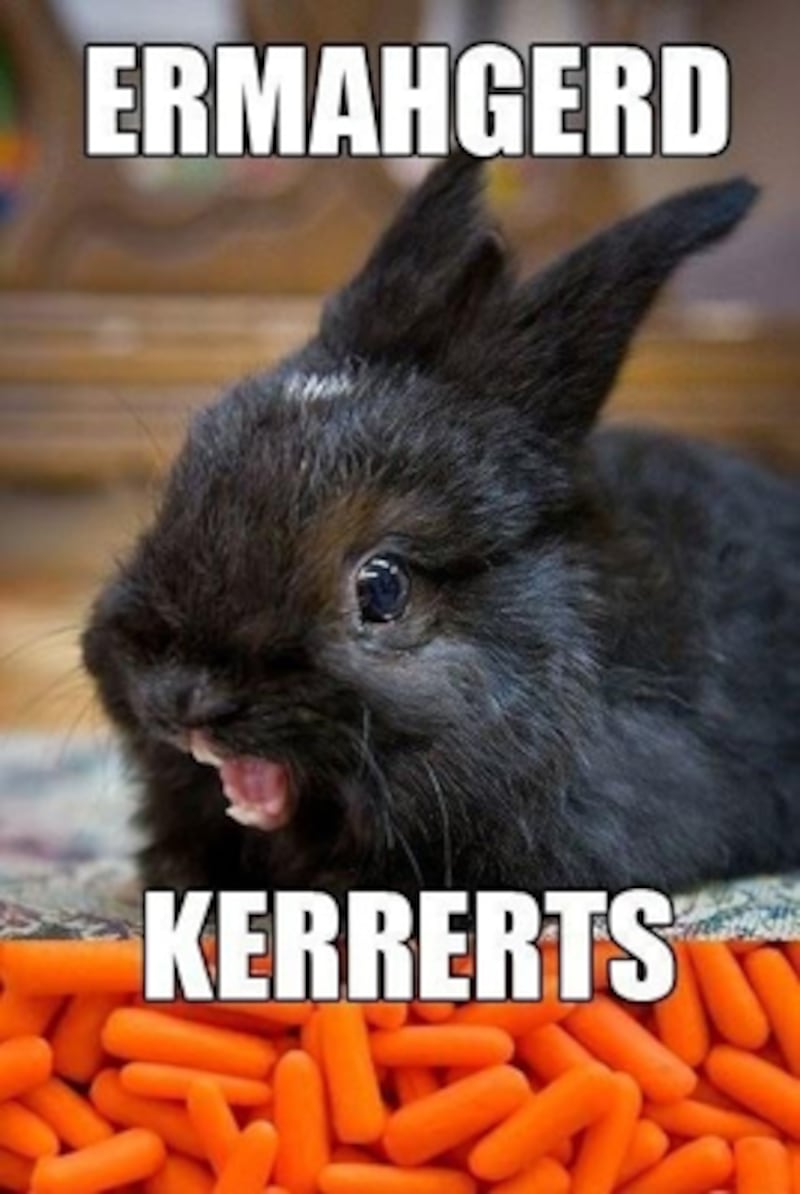 galleries/2012/06/23/meme-of-the-week-ermahgerd-animals/meme-of-the-week-ermahgerd-animals-7_lizmck