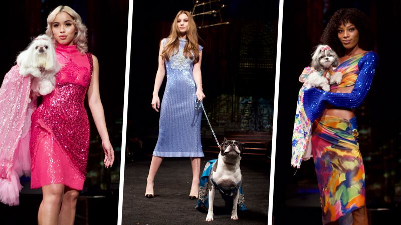 NYFW-canine-couture-embed-2_hgfjo4