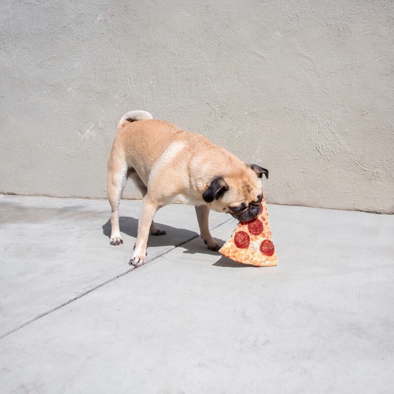 galleries/2014/03/15/pizza-in-the-wild-jonpaul-douglass-photographs-our-favorite-food-in-nature/140312-pug_pizza_l8uwbv