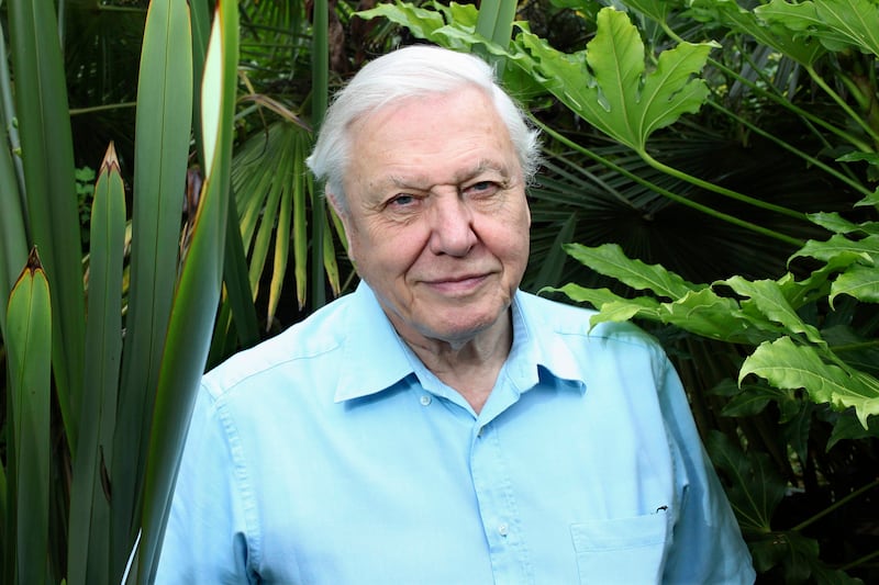 articles/2014/02/11/sir-david-attenborough-enough-with-the-creationists-and-climate-change-deniers/140210-david-attenborough-hines-tease_ac4v4s