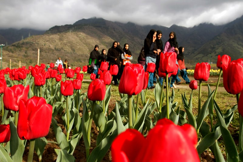 galleries/2013/04/11/spring-in-bloom-around-the-world/130410-spring-india-01_ek07v7