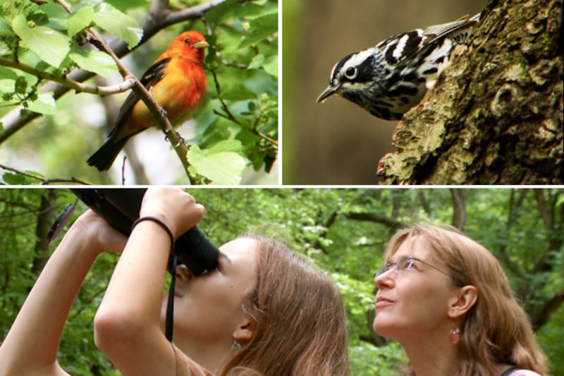 articles/2012/07/13/the-central-park-effect-explores-the-magical-power-of-birding/birders-dana-tease_svhreh