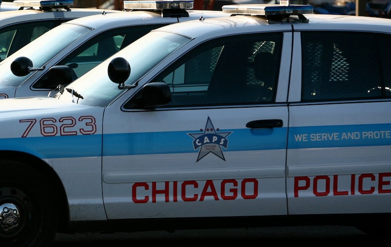 A photo of several parked Chicago Police Department patrol cars.