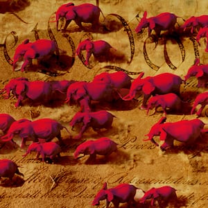 A photo illustration of red elephants running across the US Constitution. 