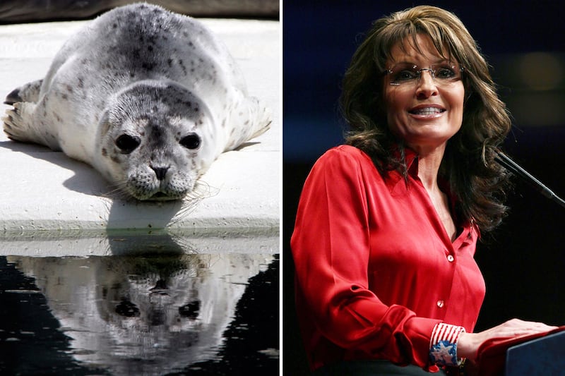 galleries/2012/03/03/david-cameron-rides-rebekah-brooks-horse-and-other-political-animal-scandals-photos/political-animal-scandals-palin-seal_lrc9xq