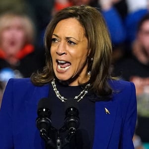 US Vice President and Democratic presidential candidate Kamala Harris speaks during a campaign rally at Reno Expo Center in Reno, Nevada, on October 31, 2024.