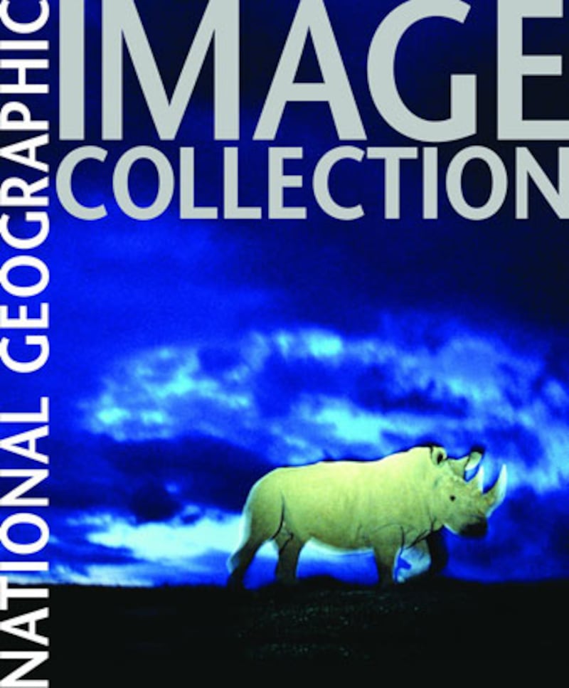 galleries/2009/12/17/the-best-art-books-of-2009/art-books---national-geographic_dh2ftg