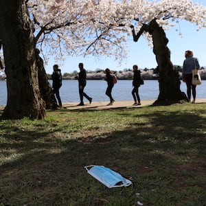 2021-03-29T232423Z_1839833921_RC2BLM9M8TNB_RTRMADP_3_SPRING-CHERRYBLOSSOMS-WASHINGTONDC_gztnm1