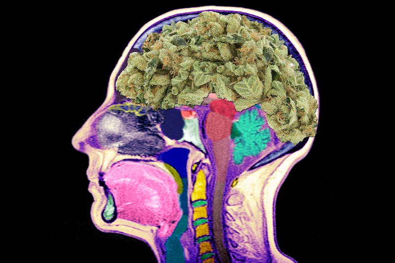 articles/2014/04/17/no-weed-won-t-rot-your-brain/140416-szalavitz-weed-brain-tease_gctjsy