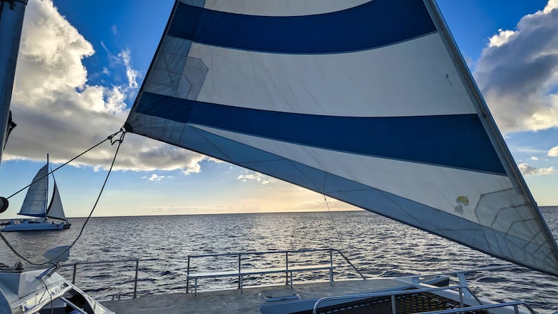 A picture of a catamaran sunset tour