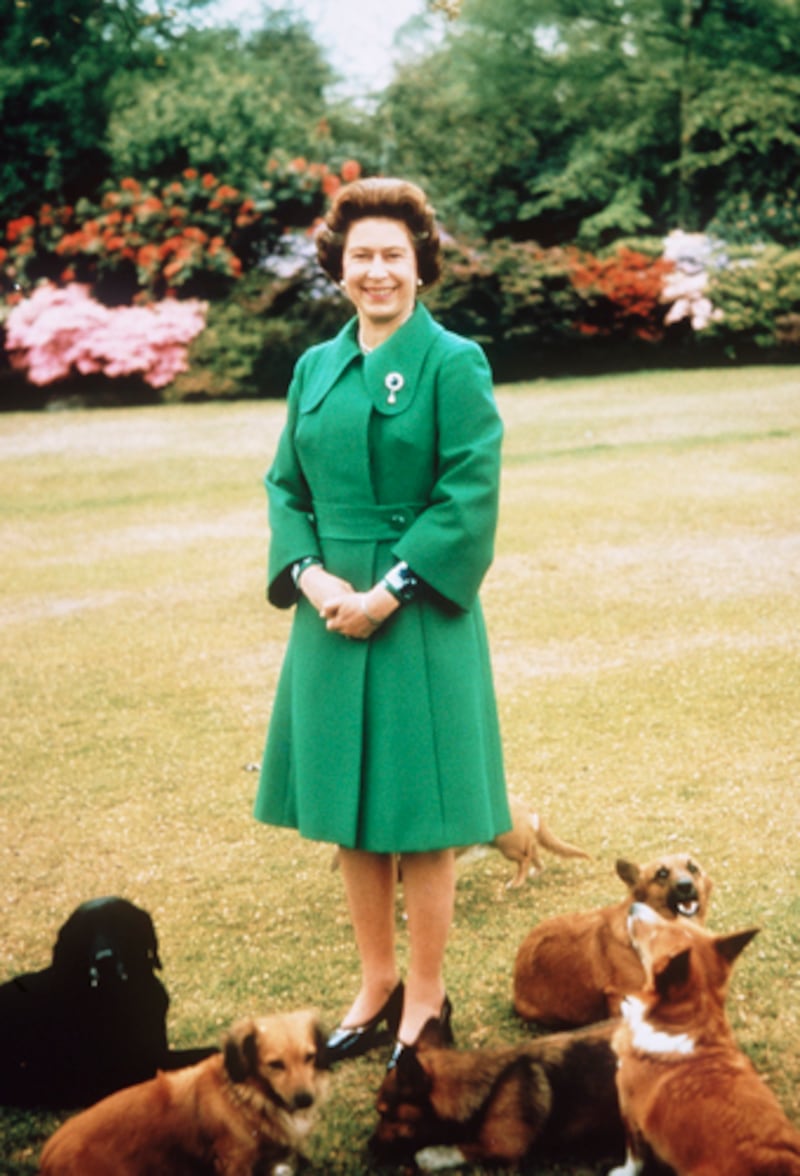 galleries/2012/02/02/prince-william-and-kate-s-new-puppy-joins-long-history-of-royal-dogs-photos/queen-elizabeth-corgis-royal-dogs_wgdxqe