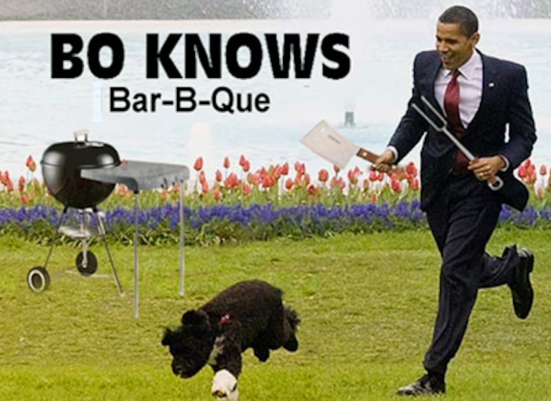 galleries/2012/04/21/meme-of-the-week-obama-eats-dog-photos/obamadog-4_tuqeqz