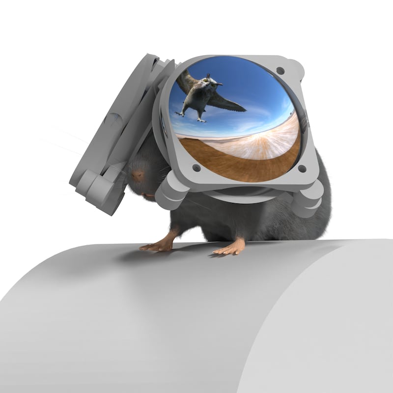 Digital conceptual art of a mouse wearing the iMRSIV VR headset for mice