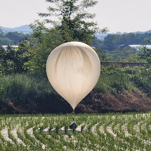 A balloon believed to have been sent by North Korea, carrying various objects including what appeared to be trash and excrement, is seen over a rice field at Cheorwon, South Korea, May 29, 2024. 