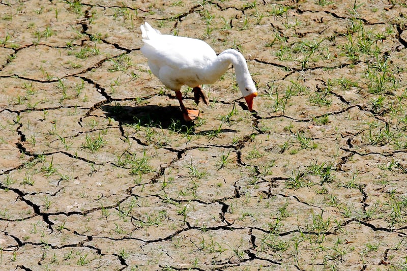 articles/2014/03/04/america-s-axis-of-drought/140303-galbraith-drought-tease_t8n3eh