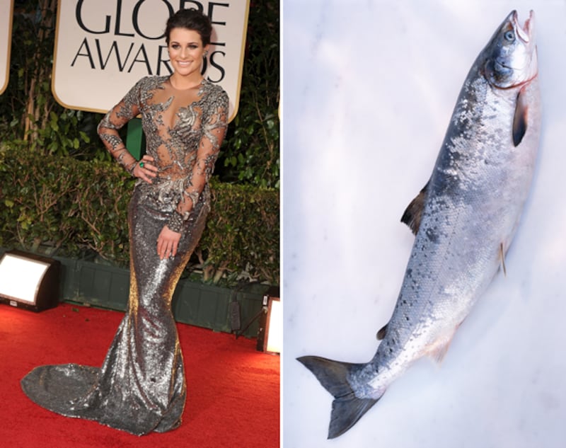 galleries/2012/01/17/fishtail-dresses-at-the-golden-globes-and-the-fish-that-inspired-them-photos/fishtails-lea-michele_tn9twe