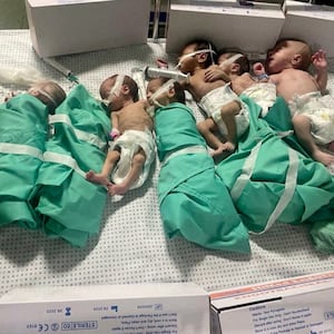 Premature babies at Al-Shifa Hospital