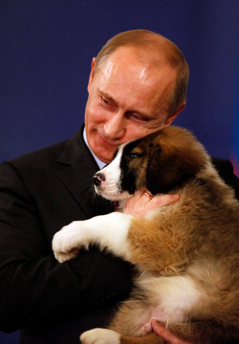 galleries/2013/09/05/17-photos-of-putin-schmoozing-with-animals-photos/130904-putin-puppy_wp5wnz