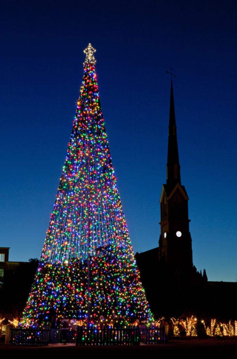 galleries/2011/12/23/spectacular-christmas-trees-photos/christmas-trees-south-carolina_jz0f1k