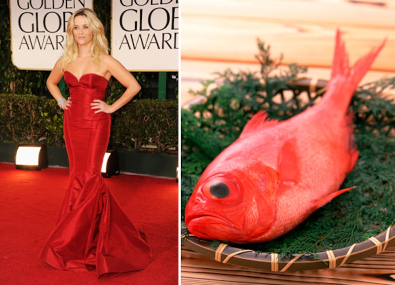 galleries/2012/01/17/fishtail-dresses-at-the-golden-globes-and-the-fish-that-inspired-them-photos/fishtails-witherspoon-alfonsino_lyqfsp