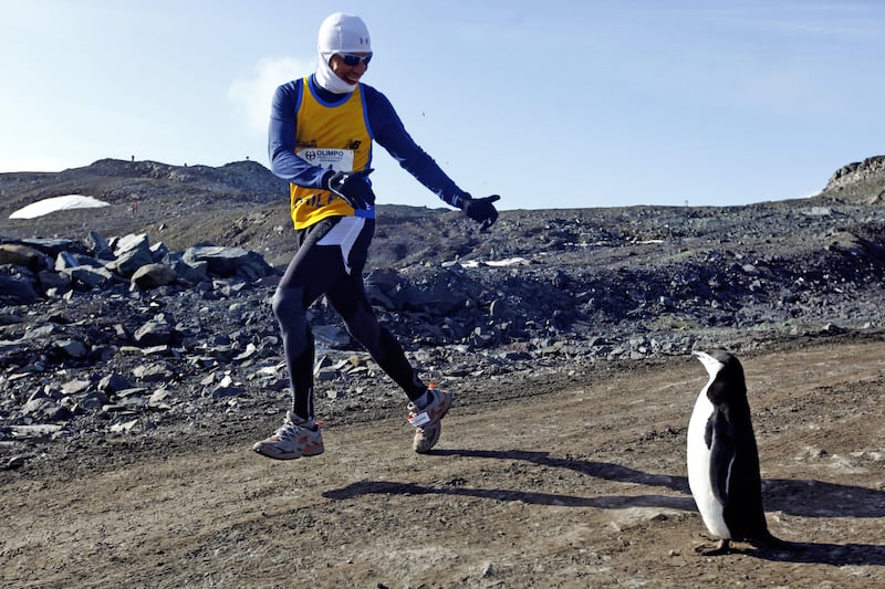 galleries/2013/11/02/extreme-races-10-mind-blowing-marathons-photos/extreme-marathon-antarctica_pltzaz