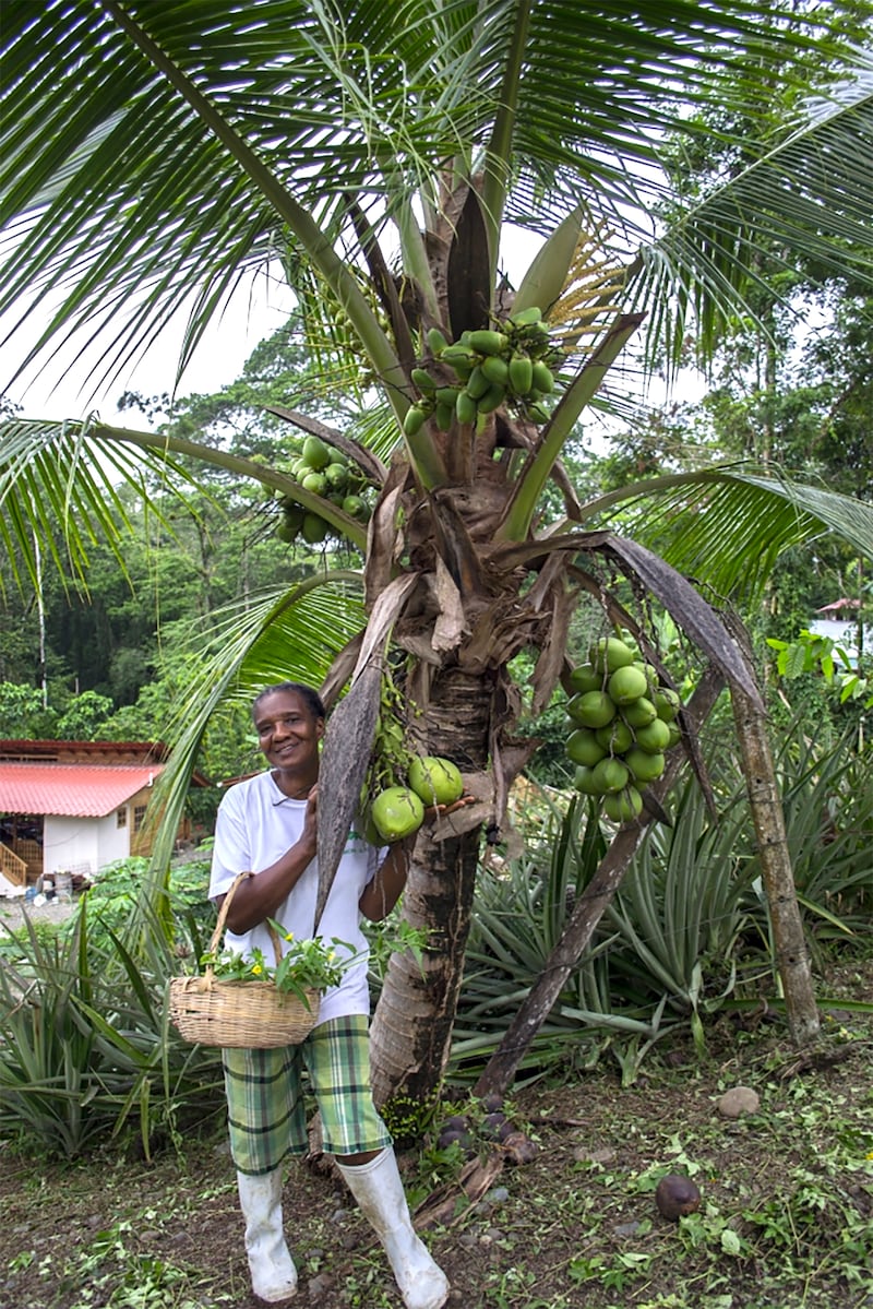 211206-costa-rica-tourism-embed-04_jil8gw