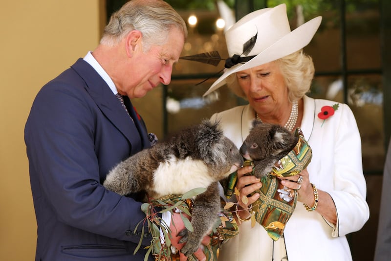 articles/2012/11/08/photo-special-charles-and-the-leaping-sheep/carles-camilla-possums_cg7b0g