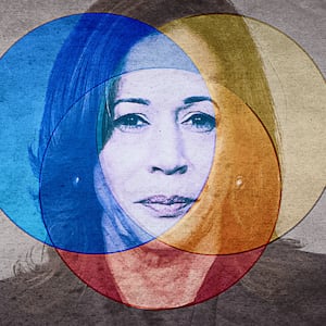 Kamala's problem in form of a Venn diagram