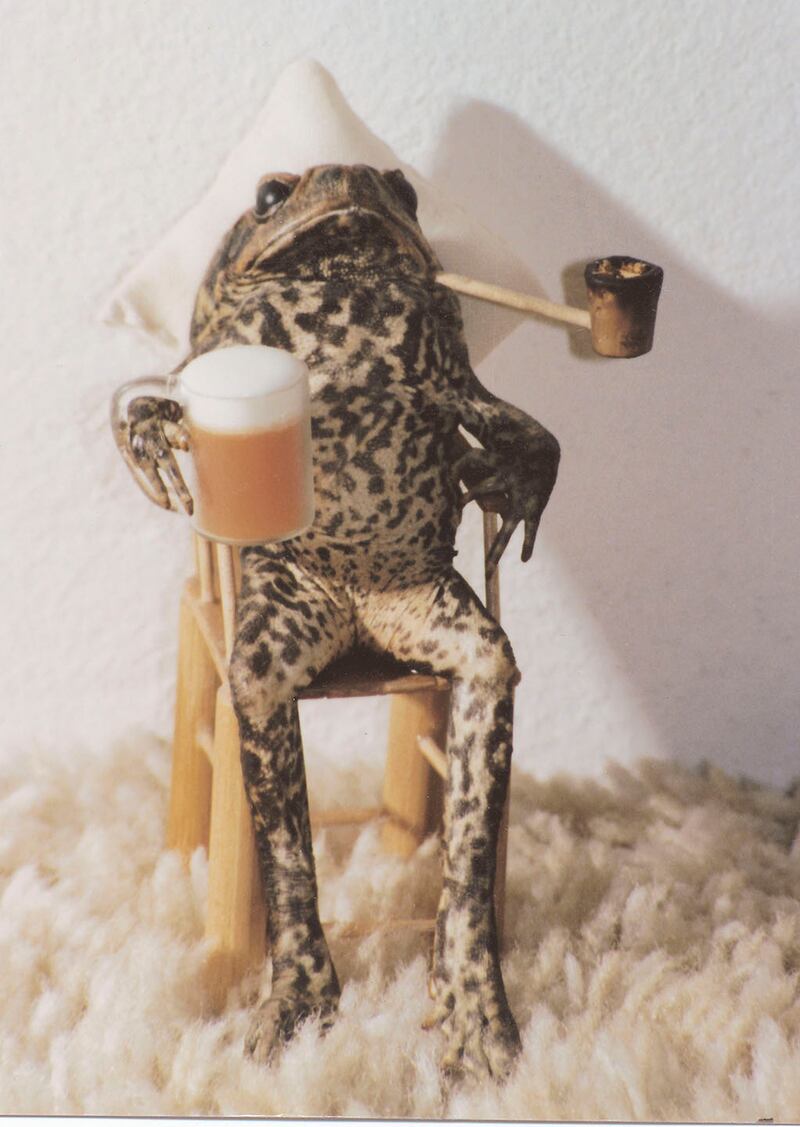 galleries/2014/09/06/the-crappiest-taxidermy-in-the-entire-world-photos/140903-crap-taxidermy-12_aokfaf