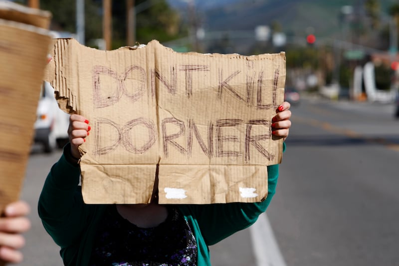 articles/2013/02/14/black-support-for-dorner-shows-lingering-mistrust-of-police/130213-pro-dorner-movement-frazier-tease_isbhpg